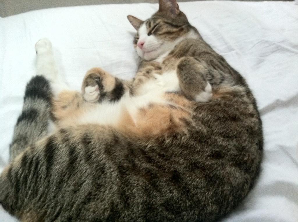 kaiyun开云体育-五大联赛球队战术升级区别于五年前的变化，五大联赛技术特点