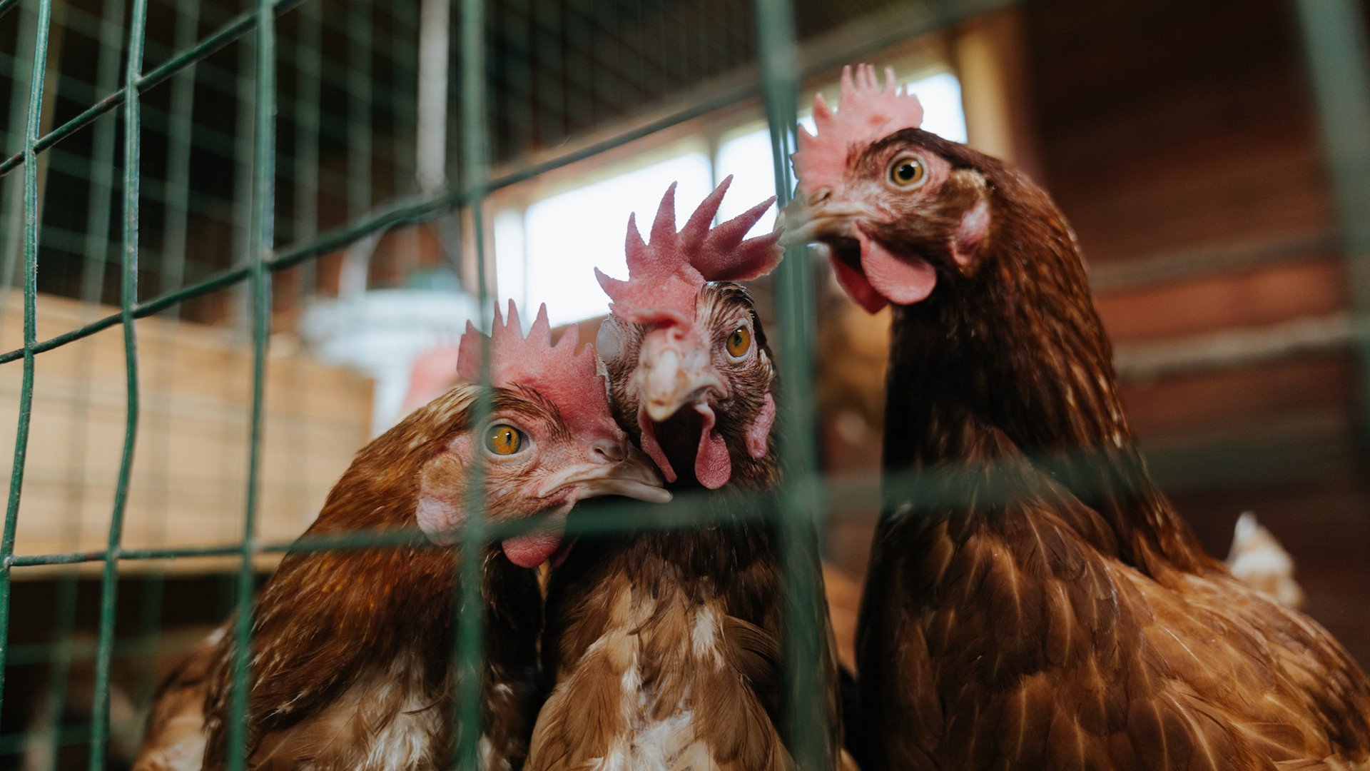 开云在线入口-仰泳小将刷新德国国内纪录，世界仰泳顶尖运动员