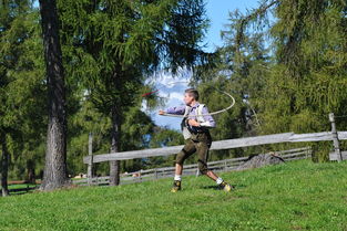 开云体育网址-兴隆湖上演水上马拉松速度盛宴,兴隆湖开了没 第2张 开云体育网址-兴隆湖上演水上马拉松速度盛宴,兴隆湖开了没 第2张