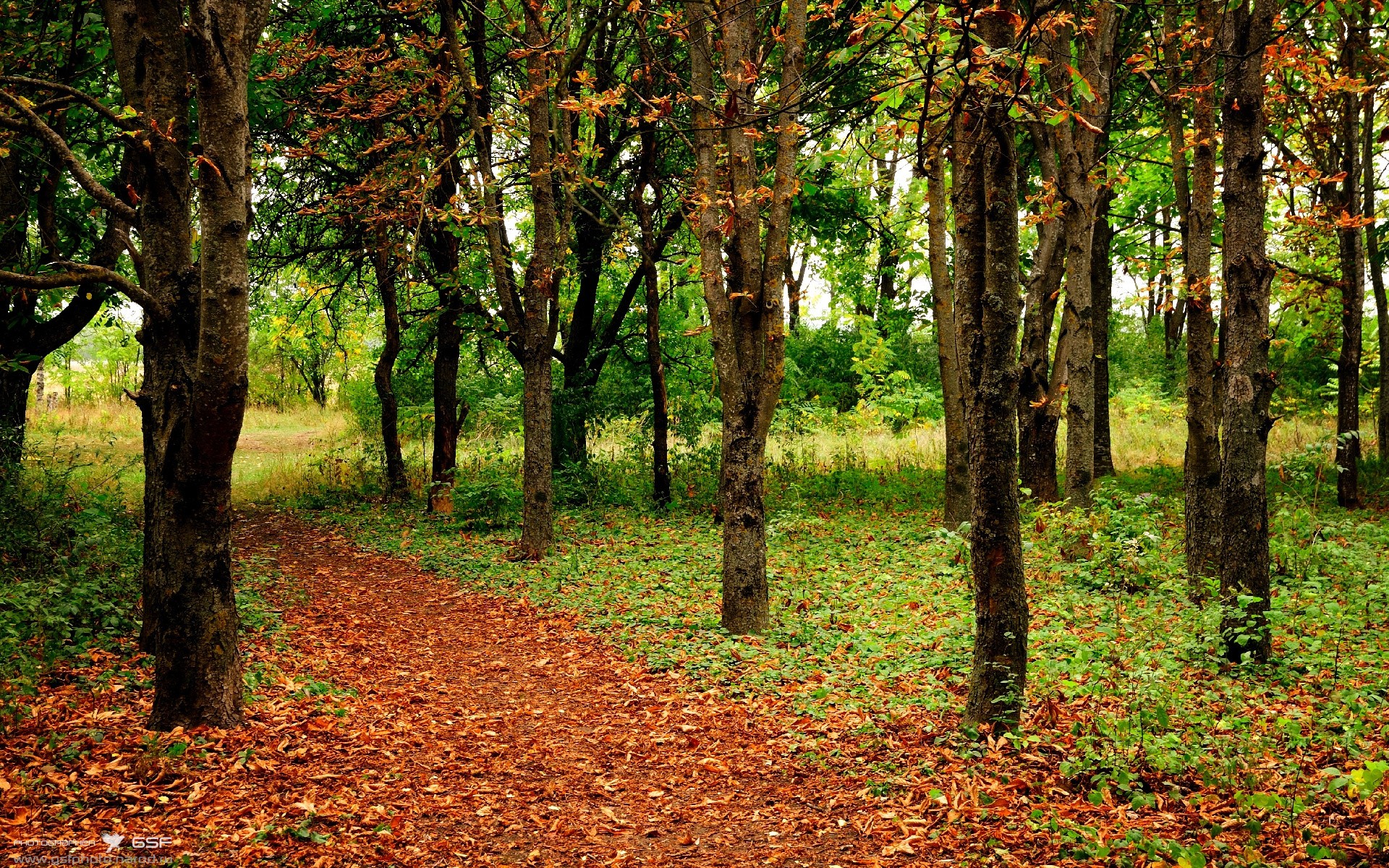 开云体育平台-印度队2024年世界杯：展现出色的集体协作精神，印度进世界杯了吗  第2张