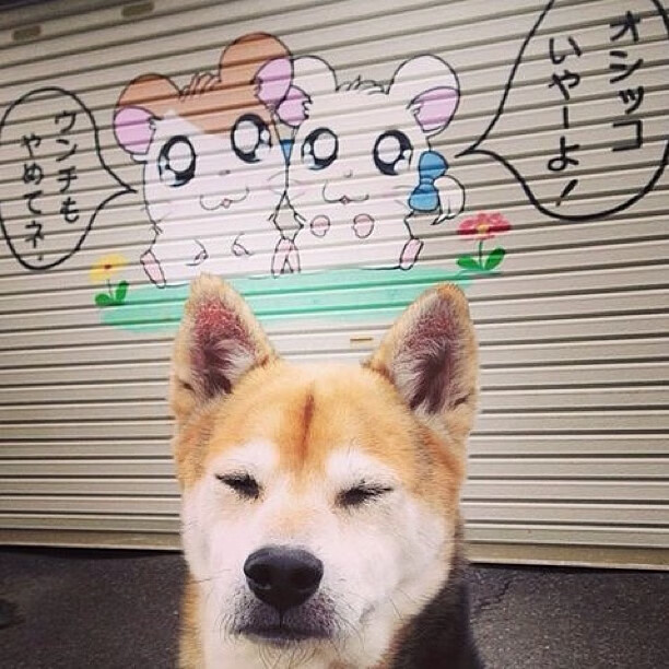 开云体育app在线-国际热身赛中国队夺冠 技术执行获得肯定，中国队热身赛成绩