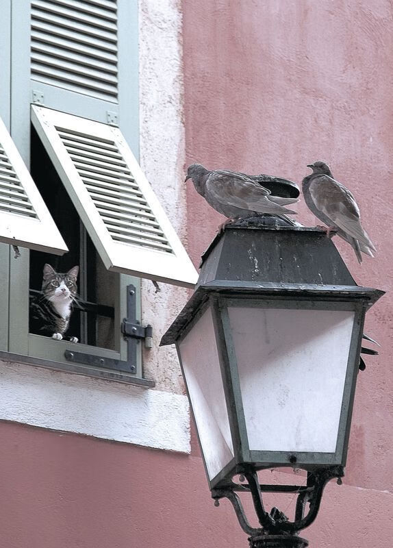 开云体育娱乐-教练选拔机制优化更注重长期稳定性，教练式管理优点缺点