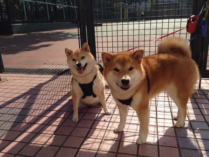 开云官方网-控球率是否真的能决定比赛节奏并逆转胜率，控球率高就能取胜吗