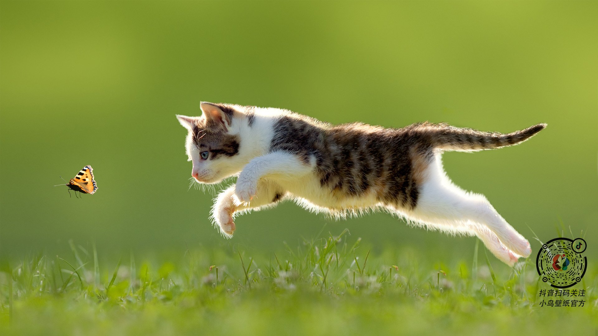 开运体育电脑版-韩国乒乓队表现出色,继续迈向顶峰,韩国乒乓球队员名单 第2张 开运体育电脑版-韩国乒乓队表现出色,继续迈向顶峰,韩国乒乓球队员名单 第2张