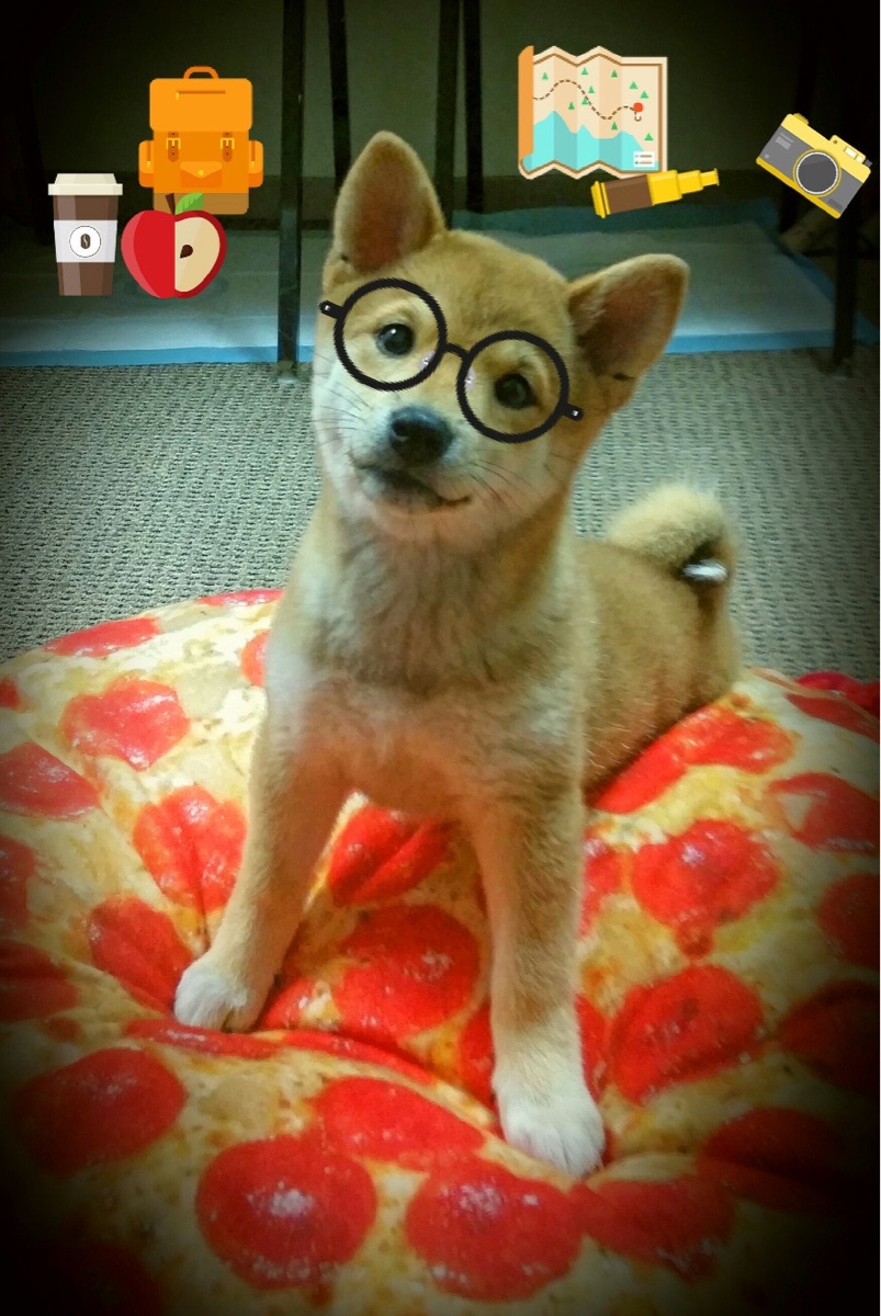 开云官网-中国足球青少年训练营招生规模扩大，青少年足球培训招生  第3张