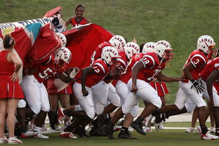 开云官网-体育新闻中心赛前状态追踪，体育新闻预告