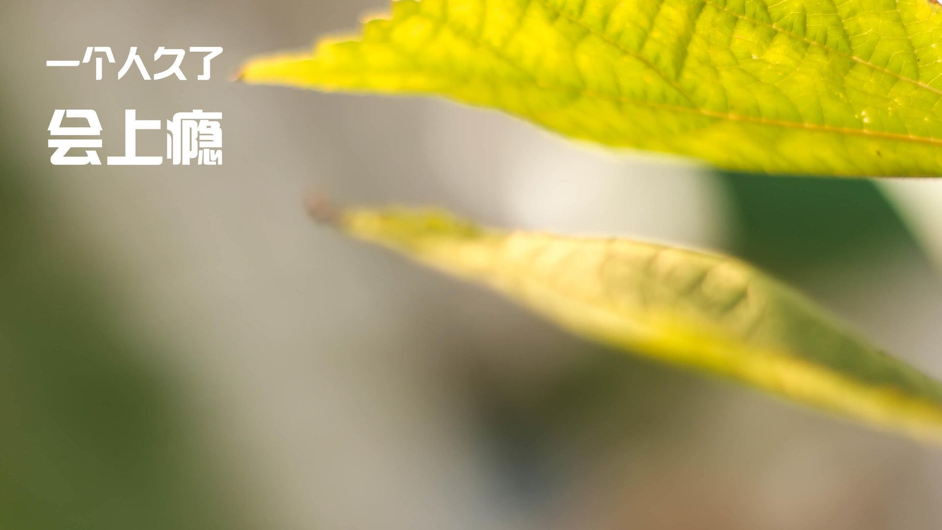 开云体育网站-吉尔吉斯斯坦男篮在国际比赛中崭露头角，前景乐观