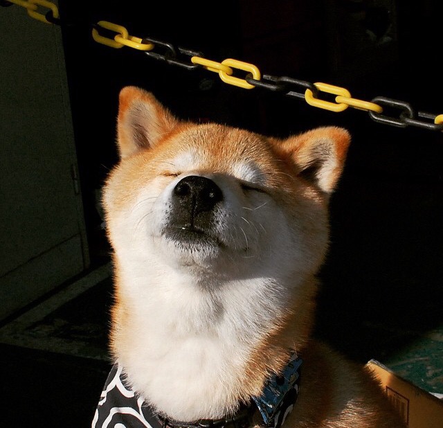 开云在线登入-大型足球展在本地博物馆举行，推广足球文化，足球展览海报