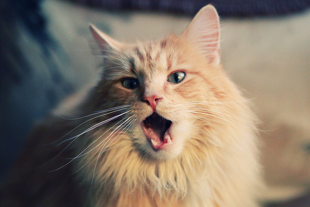 开云体育官网-湖人训练场引入全新技术设备提升效率，湖人队的训练场